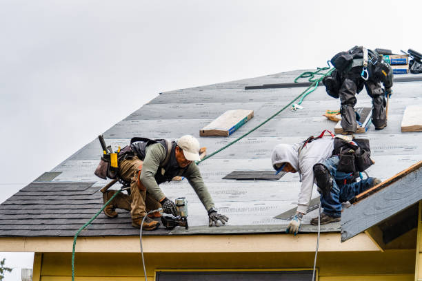 Professional Gutter Installation technician working in Roscoe, MN